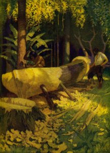 Ilustrace pro Robinson Crusoe (barevné lito) od Newell Convers (after) Wyeth