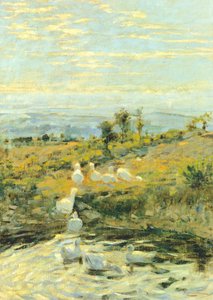 Kachny ráno, asi 1892, Niccolo Cannicci (1846-1906). Olej na plátně, 57,5 x 40,5 cm.