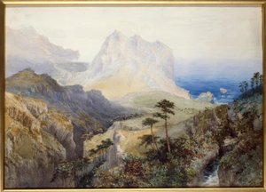 Rokle u moře, Jižní Alpy, Nový Zéland