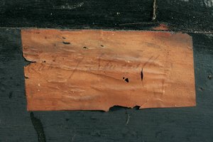 Detail komody Ludvíka XIV. (ormolu, mosaz, želvovina a ebenová koule) (viz také 486114-19) od Nicholas Sageot