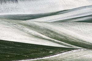  od Nicola Figliuolo