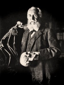 Portrét Ernsta Haeckela vedle kostry opice, kolem roku 1860 (foto)
