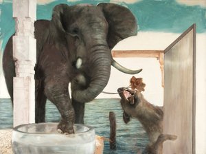 Slon se psem, 2011 (olej na plátně) od Nicola Pucci