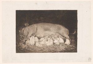 Zasít se selaty od Nicolaas van der Waay