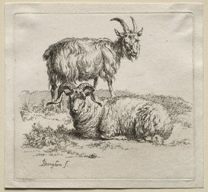 Animalia: Beran a koza