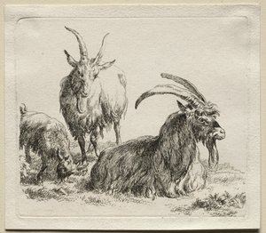 Animalia: Tři kozy od Nicolaes Berchem