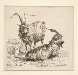 Kozy (od od Nicolaes Berchem