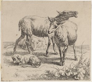 Tři ovečky a jehně. od Nicolaes Berchem