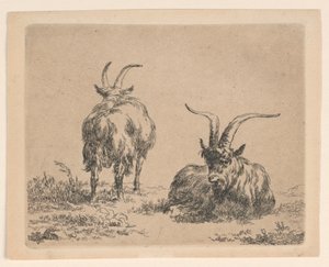 Dvě kozy od Nicolaes Berchem