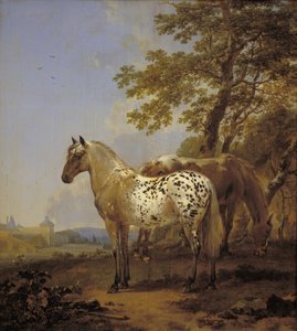 Dva koně v krajině od Nicolaes Berchem