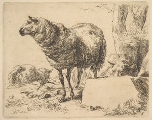 ze Souboru ovcí. od Nicolaes Berchem