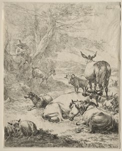 Zvířata v klidu. od Nicolaes Pietersz. Berchem