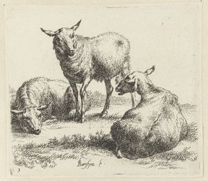 Osušte ovce Schapen (název série) Zvířata oživená a vytištěná vodou pro silný vzduch od Studio and Art of Nicolai Berchem (název série) od Nicolaes Pietersz Berchem