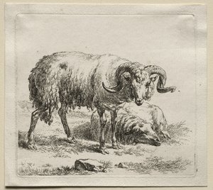 Beran a ovce. od Nicolaes Pietersz. Berchem