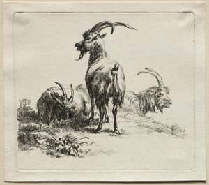 Tři kozy. od Nicolaes Pietersz. Berchem