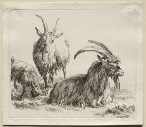 Tři kozy. od Nicolaes Pietersz. Berchem