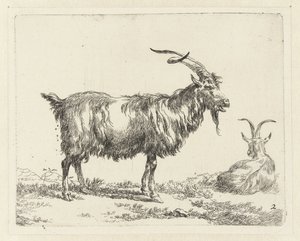 Dvě kozy Geiten (název série) Zvířata přitažená k životu a vytištěná ve vodě silným vzduchem Studio and Art of Nicolai Berchem (název série)