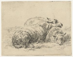 Twee ligende schapen Schapen (název série) Zvířata přitažená k životu a vytištěná ve vodě silným vzduchem Studio and Art of Nicolai Berchem (název série)