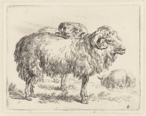 Twee rammen en een schaap Schapen (název série) Zvířata přitažená k životu a vytištěná ve vodě silným vzduchem Studio and Art of Nicolai Berchem (název série)