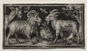 Kozy a zajíc, 1594. od Nicolaes de Bruyn