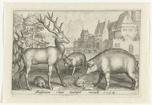 Jelen, ježek, ovce, žába a prase Animalivm qvadrvpedvm (název série) Zvířata v krajině (název série) od Nicolaes de Bruyn