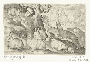 Králíci, veverka, morče a myš Animalivm qvadrvpedvm (název série) Zvířata v krajině (název série) od Nicolaes de Bruyn