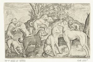 Devět psů Animalivm qvadrvpedvm (název série) Zvířata v krajině (název série) od Nicolaes de Bruyn