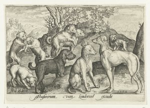 Devět psů Animalivm qvadrvpedvm (název série) Zvířata v krajině (název série) od Nicolaes de Bruyn
