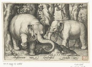 Dva sloni Animalivm qvadrvpedvm (název série) Zvířata v krajině (název série) od Nicolaes de Bruyn
