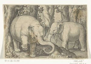 Dva sloni Animalivm qvadrvpedvm (název série) Zvířata v krajině (název série) od Nicolaes de Bruyn