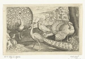 Dva pávi a krocan Ptáci a hmyz (název série) od Nicolaes de Bruyn