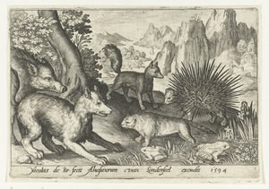 Divočák, lišky, bobr, dikobraz a žáby Animalivm qvadrvpedvm (název série) Zvířata v krajině (název série)
