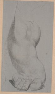 Studie nohy od Nicolai Abildgaard