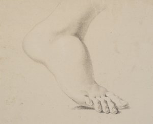 Studie nohy od Nicolai Abildgaard