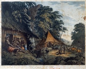 Domov černých od Nicolas Colibert