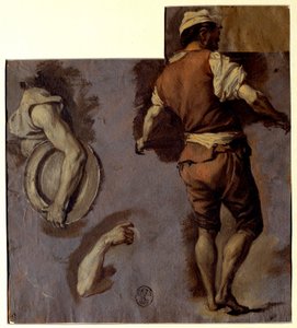 Studium anatomie, pohybů paží a zadního muže Olejomalba Nicolase Vleughelse (1668-1737) Sun. 0,28x0,25m