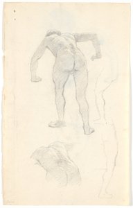 Modelová studie od Niels Skovgaard