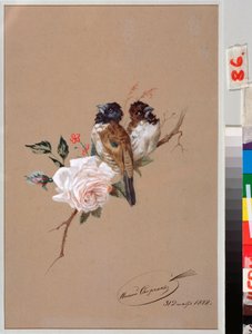 Dva ptáci na růži - dílo Nikolaje Jegoroviče Sverčkova (Nicolas Swertschkoff) (1817-1898), akvarel a tuš na papíře