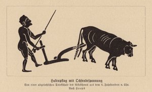 Starořecký pluh tažený voly (litografie) od Nikosthenes
