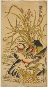 Mandarin Ducks, ze série "Kashinsai"