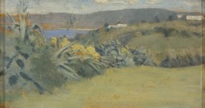 Krajina v Tangeru, kolem roku 1885 (olej na panelu)