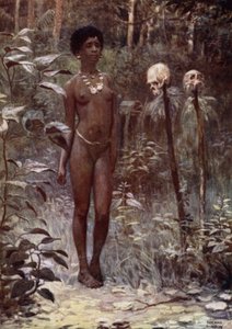 Tapu Virgin, Britské Šalamounovy ostrovy (barevné lito) od Norman Hardy