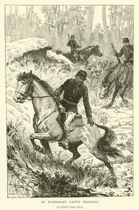 Sledování australského domorodce (rytina) od Norman Hardy