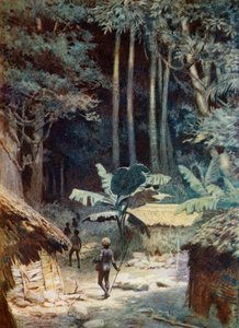 V hlubinách melanéského lesa, 1908 od Norman Hardy