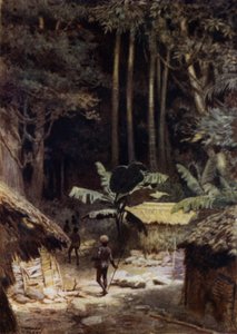 Na okraji pralesa, Šalamounovy ostrovy (barva lito) od Norman Hardy