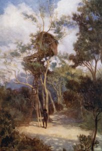 Tree House v Britské Nové Guineji (barevné lito) od Norman Hardy