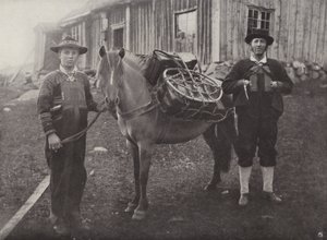 Saetersdalen Highlanders s Pack-Horse od Norwegian Photographer