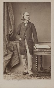 Portrét skladatele Franze Liszta 1811-1886, c. 1870. od Numa Blanc