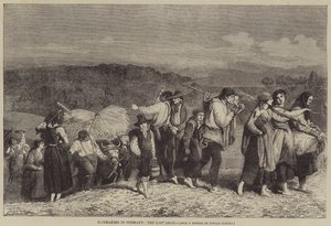 Senoseč v Německu, poslední náklad od O.A. Sickert