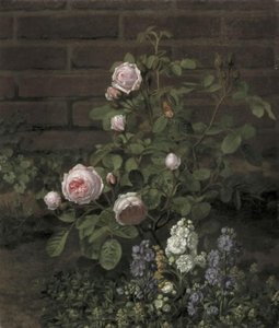 Moss Rose strom obklopený letní květiny